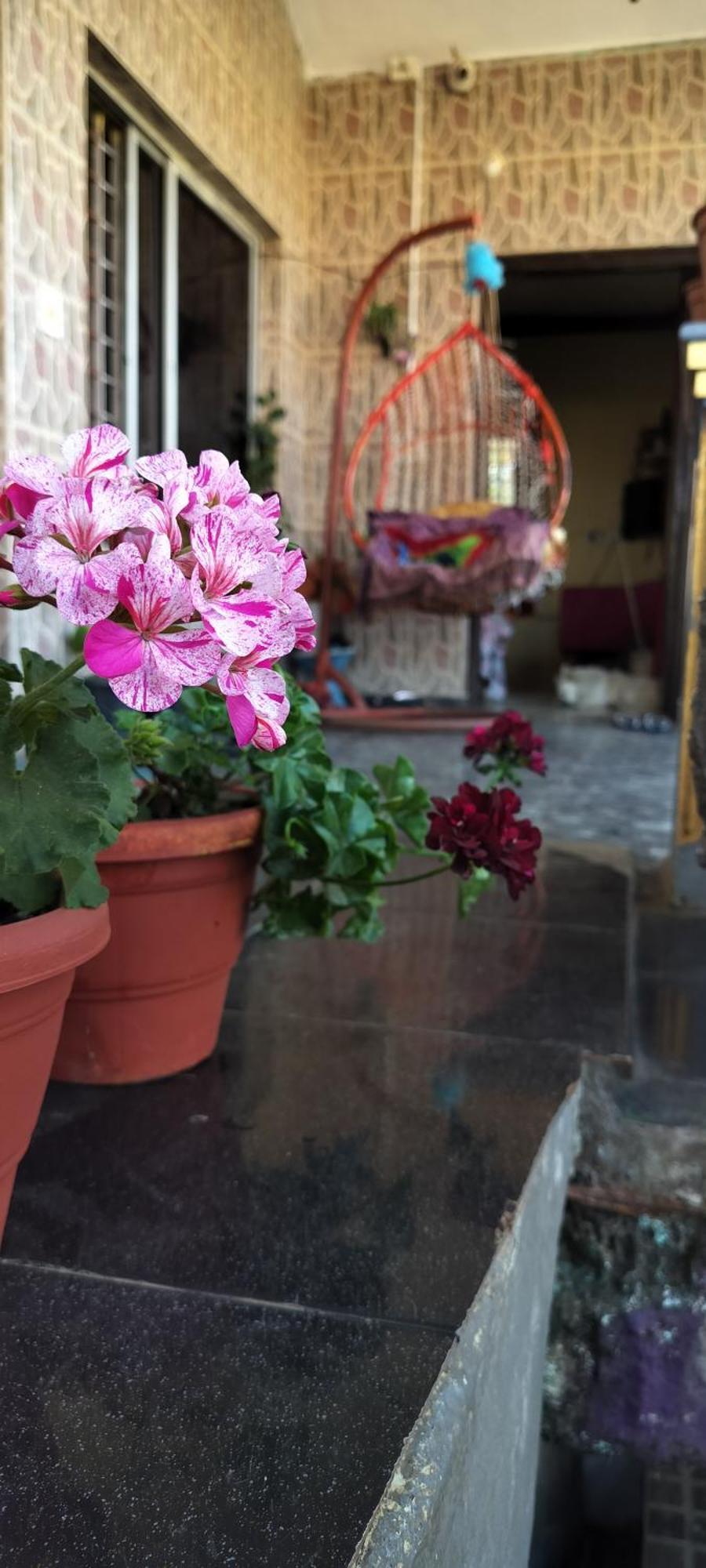 Royal Palm Homestay Madikeri Bagian luar foto