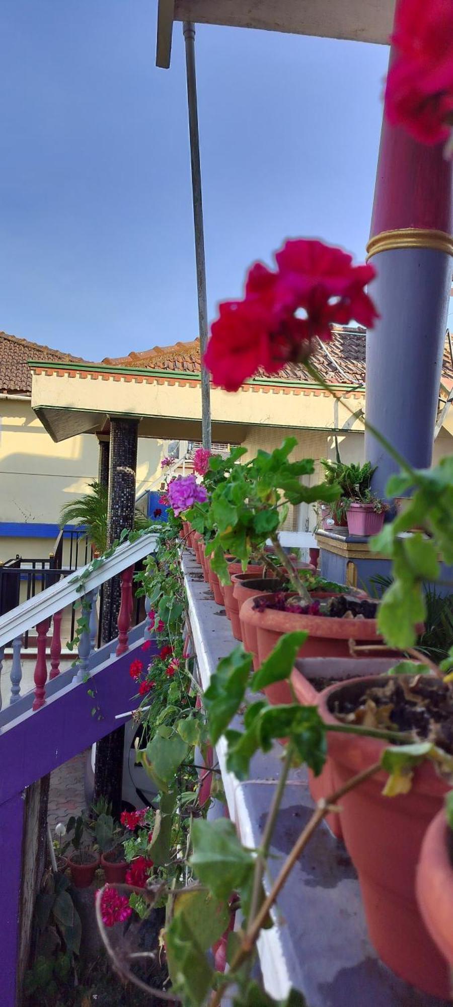 Royal Palm Homestay Madikeri Bagian luar foto